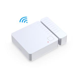 China TUYA Magnetic Smart Door Alarm Home Security Siren System 118g 110 DB factory