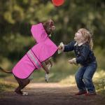 Reflective Dog Raincoat - Adjustable Waterproof Raincoat for Dogs, Lightweight