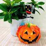 Biodegradable Plastic Treat Bags Odorless For Halloween Party Decoration