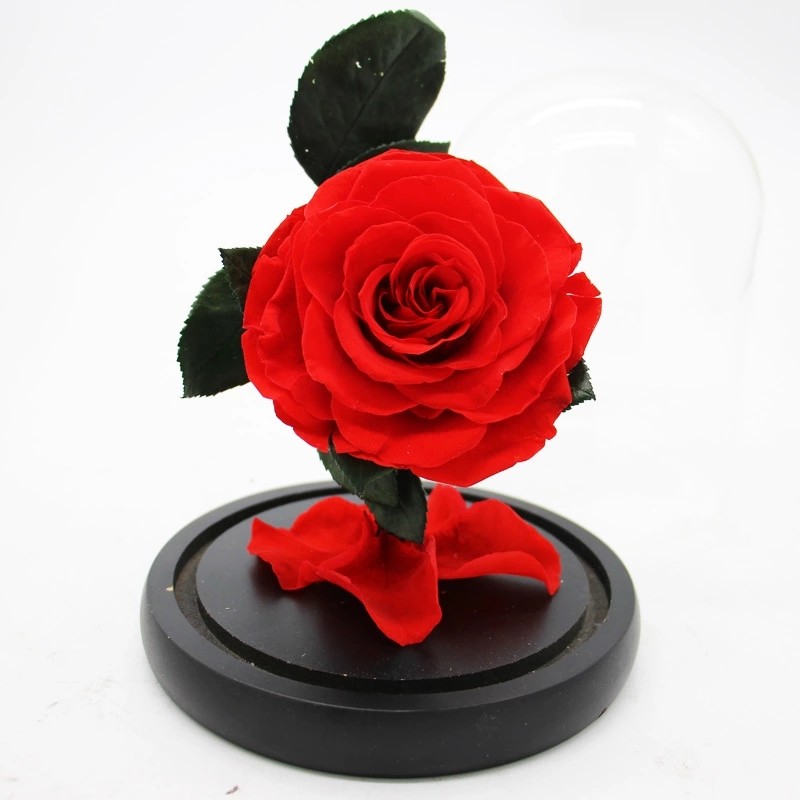Real Preserved Forever Rose, Eternal Rose, Galaxy Rose, Preserved Flowers Flower Crafts Preserved roses
