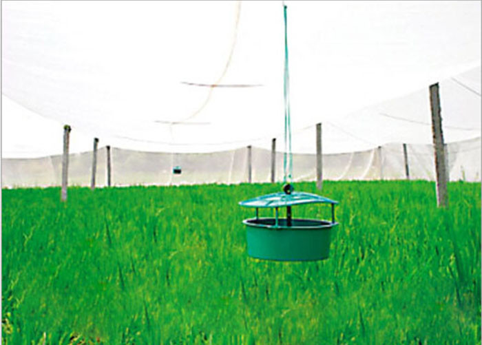 Spunbond Nonwoven Garden Weed Control Fabric GSM Warter Permeable