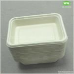 500ml Eco-Friendly Unbleached Sugarcane Pulp Rectangular Lunch Box ,750ml