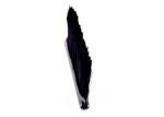 Dustproof Window Seal Brush Elevator Safety Strip Brush UD-SP-0820