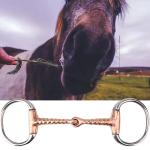 Stainless Steel Equestrian Horse Bits with Polished Finish and Loose Ring