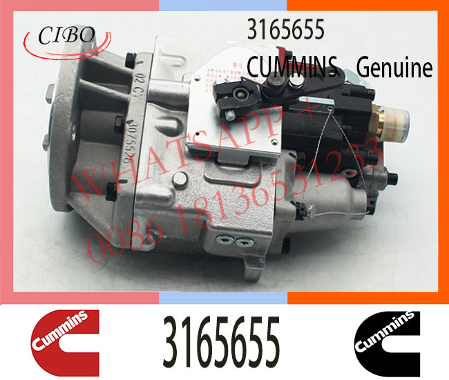 3165655 Diesel Pump for Cum-mins KTA19 M11-C300 Engine PT Fuel Injector 3165655 3165621 3261946 3262175 3417792 4060307