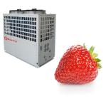 29KW Large Glass Agricultural Electric Greenhouse Heater For Better Growth Of