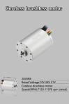 Faradyi Customized Speed Bldc Motor 24V 30V 10000Rpm Blower Coreless High Speed