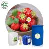 Buy cheap Skincare Aromatherapy Essential Oils Strawberry Seed Essential Oil from wholesalers