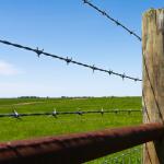 Forest Barbed Wire Fence Roll Good Corrosion Resistance Barbed Wire Single