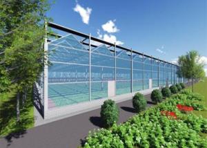 China Single Layer Glass Venlo Type Greenhouse Equipped With Hydroponic Technology factory