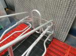 Steel Pig Farrowing Crate