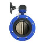 Cast Ductile Iron BS en593 ANSI DIN JIS double flanged centerline Huge Big Size