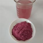 mulberry juice powder buy best dried mulberry powder health benefits supplement