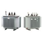 Oil Immersed Electric Power Transformer (S11-2000kVA/10KV)
