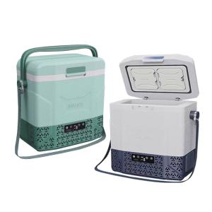 China Vehicle Camping Refrigerator 12v Freezer Fridge with Panel and Compressor Included factory