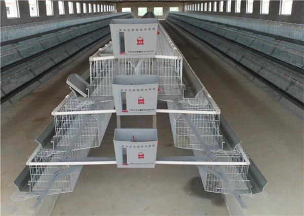2.15*2.3*1.9 Size Chicken Battery Cage Poultry Farming , 3-5 Layers Chicken Farm