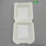 6 inch hamburger box non soggy, leak proof, disposable to go boxes made from