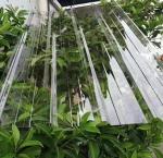 Anti - Fog Polycarbonate Roof Sheet PC Corrugated Tile For Carport Greenhouse