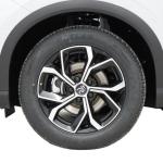 Fast Charge BYD Yuan Plus SUV , Long Range New Energy Vehicles