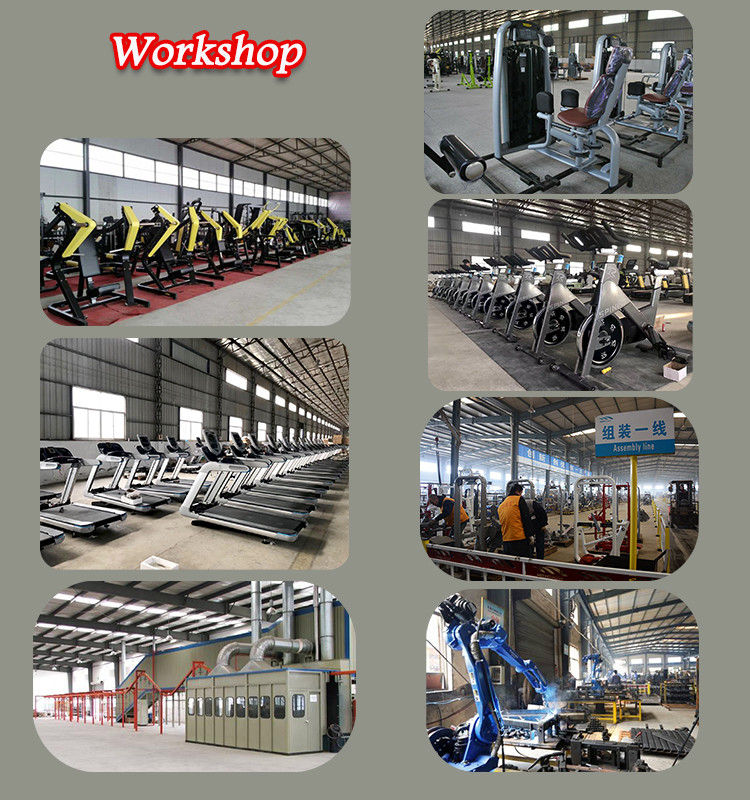 Pectoral Fly Rear Deltoid Full Gym Equipment with Elliptical Steel Tube