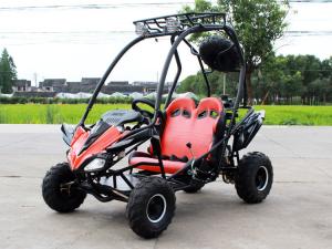 China Air Cool Fully Auto CDI 125cc Adults Go Kart Buggy With Disc Brake factory