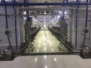 China Electronic Metrology Herringbone Milking Parlor Automatic Cow Machine factory