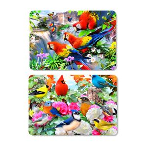China Customized Eco-Friendly 0.6mm PET 3D Lenticular Dining Placemat For Kitchen &amp; Kids factory