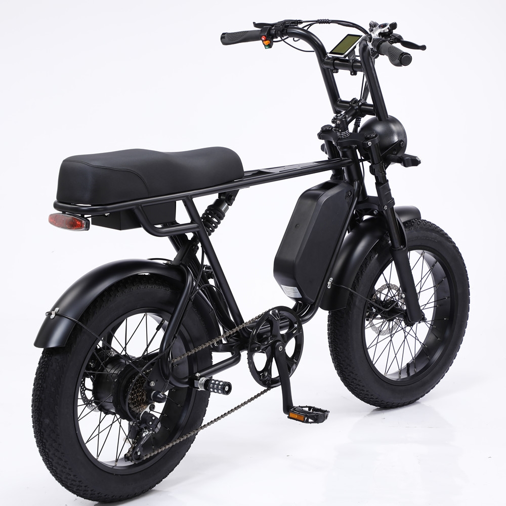 48V 750W Motor Electric Hybrid Bike Full Suspension 20 Inch Fat Tire Ebike 17Ah Battery