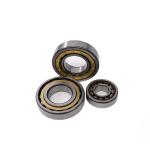 ECP Full Complement Roller Bearings N2206 NUP206E Nj206 30x62x16mm