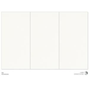400x800mm White Glazed Ceramic Wall Tile AAA Grade Clay