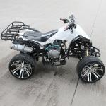 8" Rim 250cc Electric Start Youth Racing ATV Water Cooled Atv With Front Double