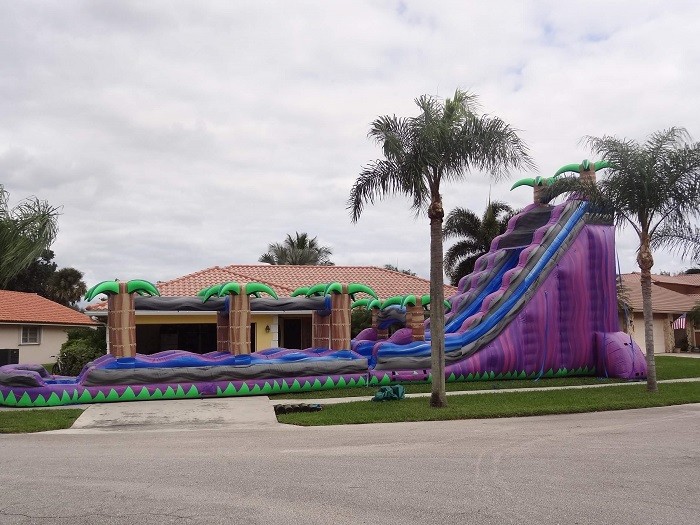 Purple Paradise Inflatable Water Slides With Pool / Adult Inflatable Wet Slide