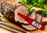 Food Grade Silicone Spatula Thermometer Digital Food Thermometer For Chocolate