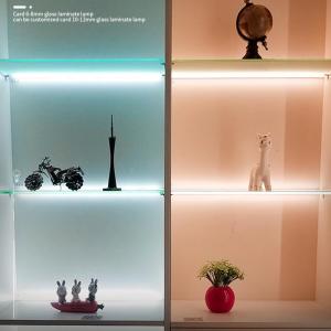 China Modern 6-8 Mm Glass Shelf Accent Lighting Warm White 3500K PMMA Aluminum Touch On/Off Switch Single Shelf factory