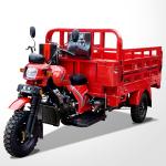 Sturdy 3 Wheel Cargo Motorcycle 200CC Heavy Loader with Payload Capacity of