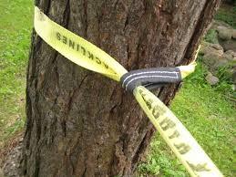 China Customized Balance Polyester Tightrope Walking Strap For Outdoor Sports factory