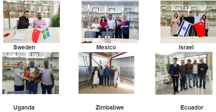 Small Dry Pedigree Dog Food Pellet Extrusion Equipment with Delta Inverter Technology
