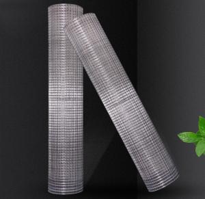 China Galvanized Steel Welded Wire Mesh Rolls for Customized Construction Solutions factory