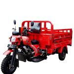 Motorized Cargo Tricycle Gasoline 3 Wheels Motorcycles with 151 200cc Displaceme