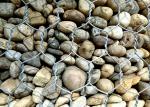Galvanized Mattress 22mm Gabion Wire Mesh For Riverbank Protection