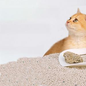 China OEM ODM Spherical Bentonite Cat Litter Sustainable Bentonite Cat Sand factory