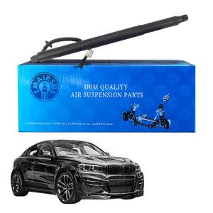 China Power Lift Gate Strut 51247318651 For BMW X6 F16 2015-2019 Left 1 Plug factory