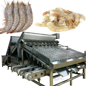 China Fully automatic food grade stainless steel shrimp 18-roller drum grader factory