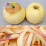 220V Factory direct selling apricot peeler pear fruit persimmon quick peeler