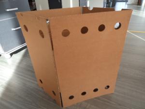 China Corrugated Cardboard box For Fruits factory