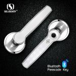 Keyless Apartment WIFI Bluetooth IP55 Fingerprint Smart Locks