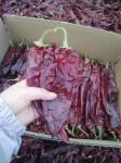 500 shu Dried Guajillo Chili Sweet Paprika Pepper BRC /Halal /ISO