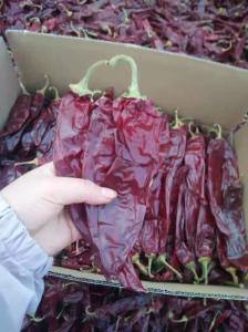 China HACCP Dried Guajillo Chili A Grade Medium Spicy For Marinades factory