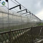 Anti UV ASTM D882 6m Polyethylene Film Greenhouse