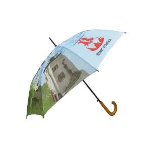Customized Printed Auto Open Stick Umbrella Curved Handle Unique Canopy